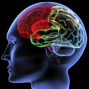 Brain, concussion, ImPACT™ Neurocognitive Testing 