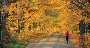 walking, calories, Bon Secours In Motion