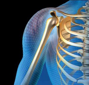 Shoulder Pain, shoulder instability, physical therapy clinic, sacroiliac disorders, shoulder discomfort, Hampton roads, physical therapists